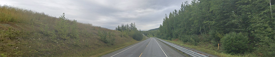 Driver's view of Victory Road with trees on both sides